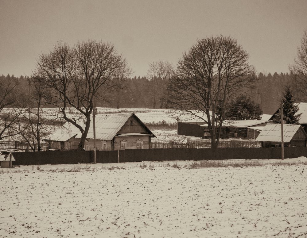 Фотография автора Максим Светличный