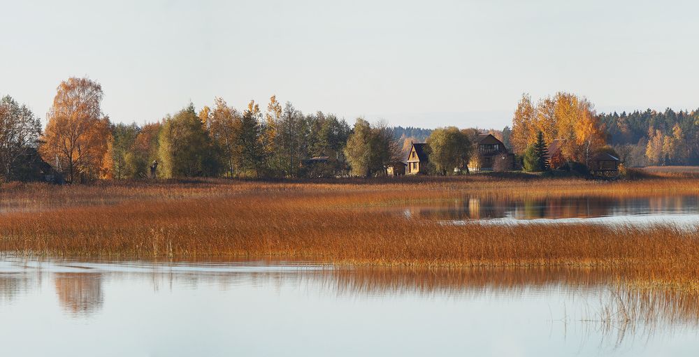 Фотография автора Максим Светличный