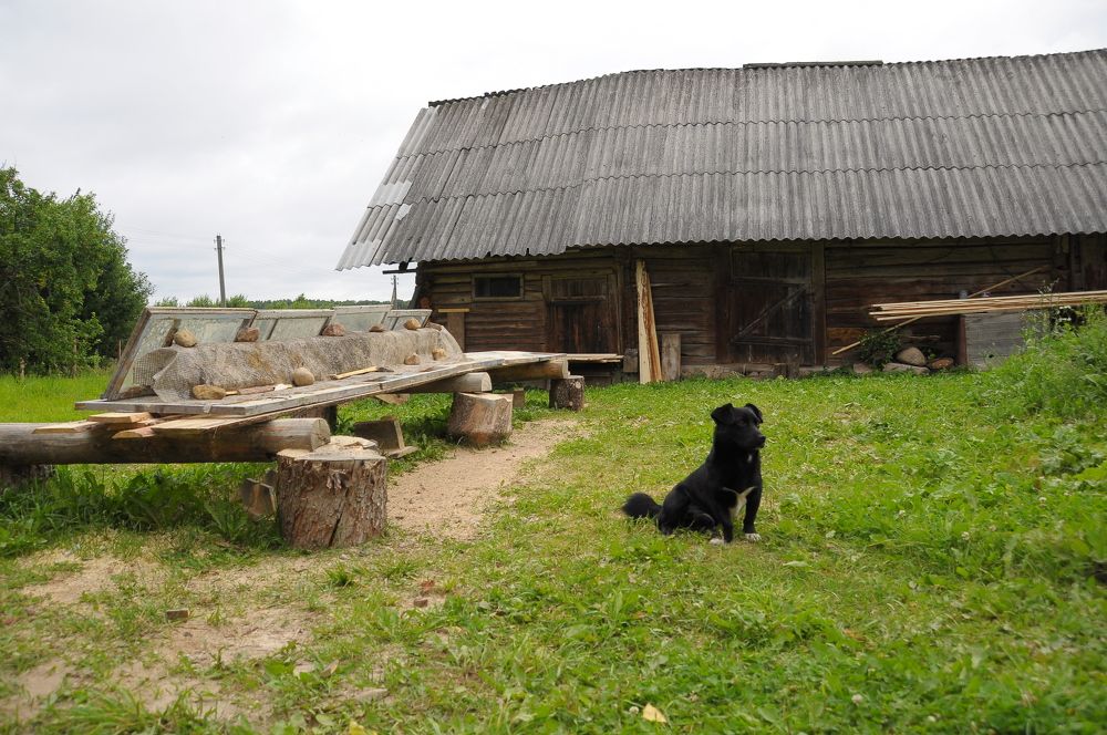 Фотография автора Антип