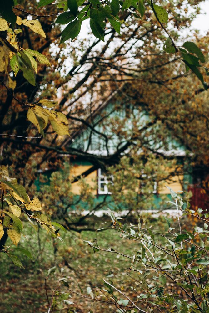 Photograph by Яна Чернега