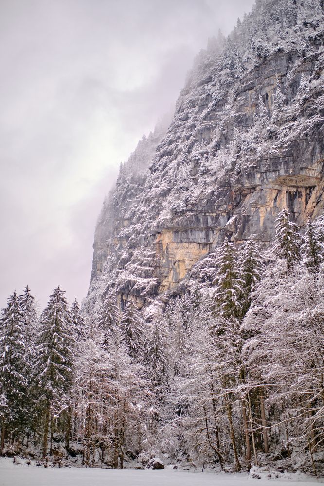 Photograph by Semeniuc Anna