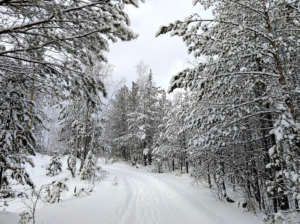 Photograph by  Валентина