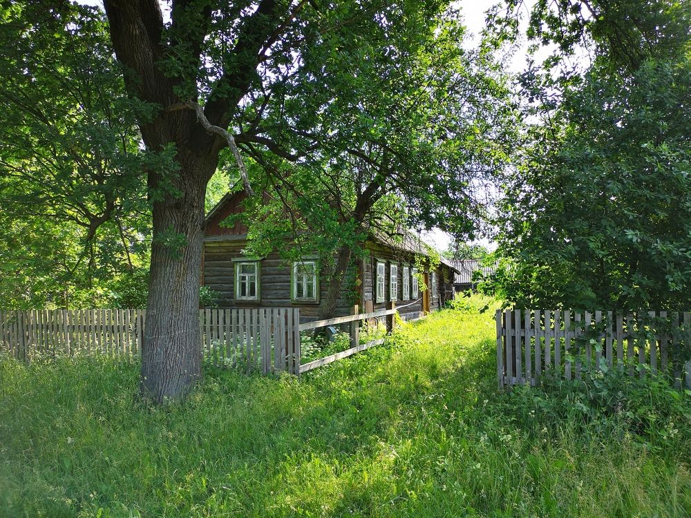 Photograph by Дмитрий Руднов