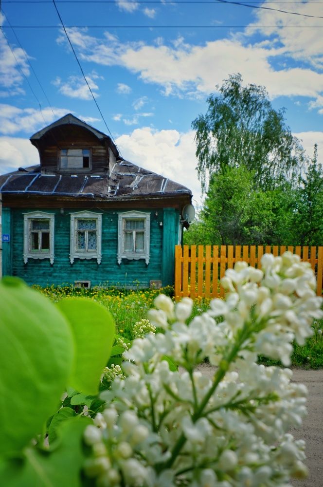 Фотография автора Екатерина Карасева