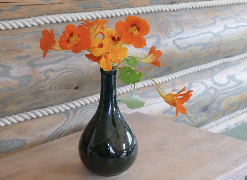 Photograph by Anastasia Perez