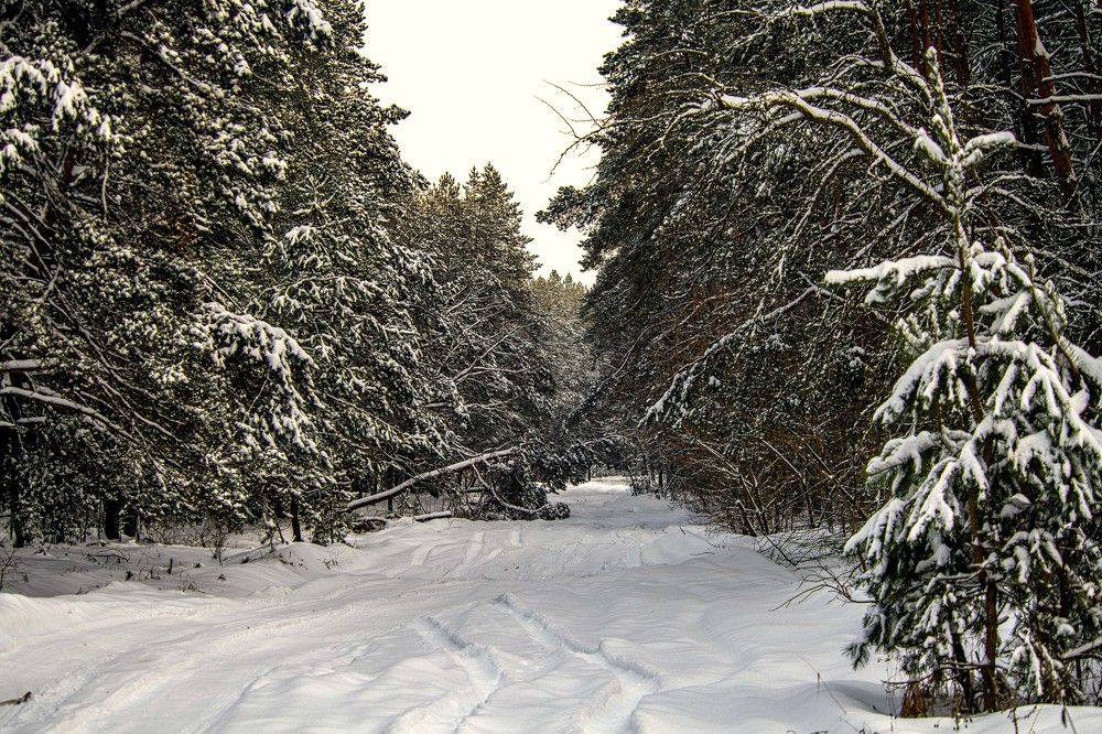 Photograph by Алексей Сиваков