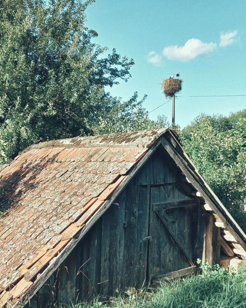 Photograph by Екатерина Петрович