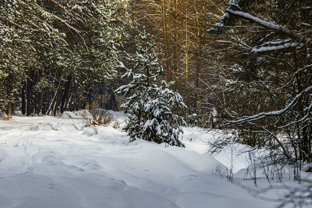 Photograph by Алексей Сиваков