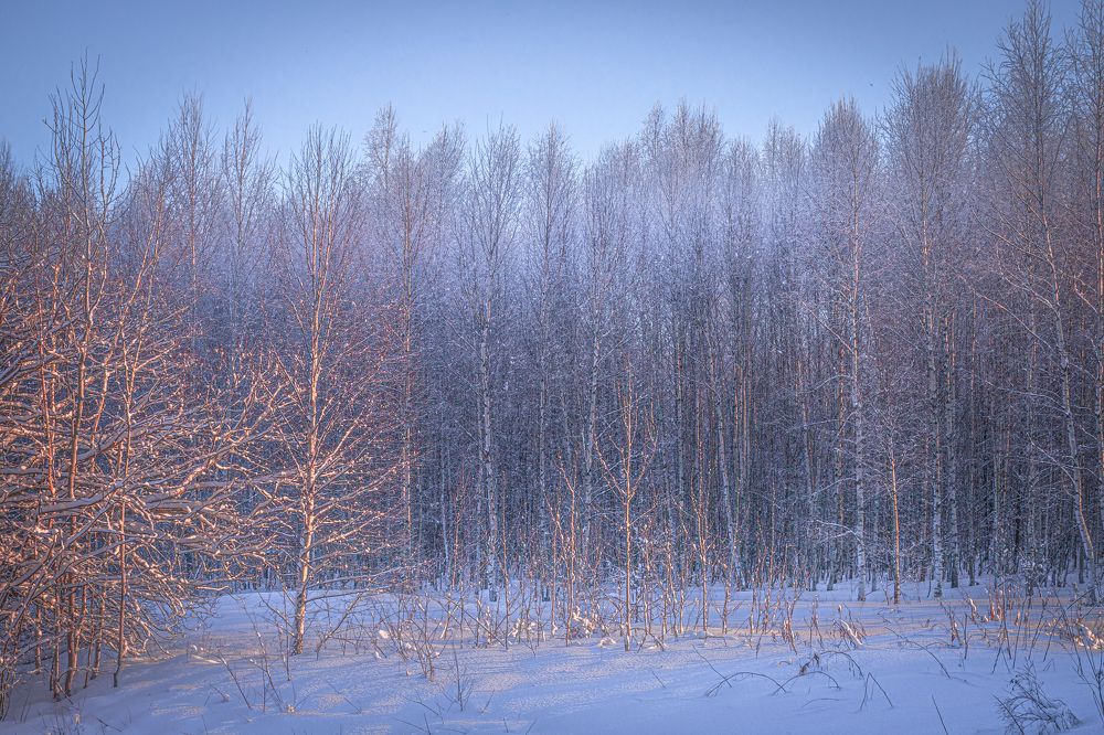 Photograph by Игорь Толкачев