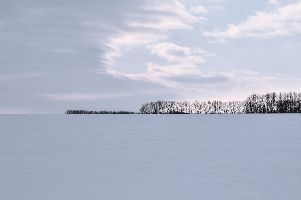 Photograph by Юлия