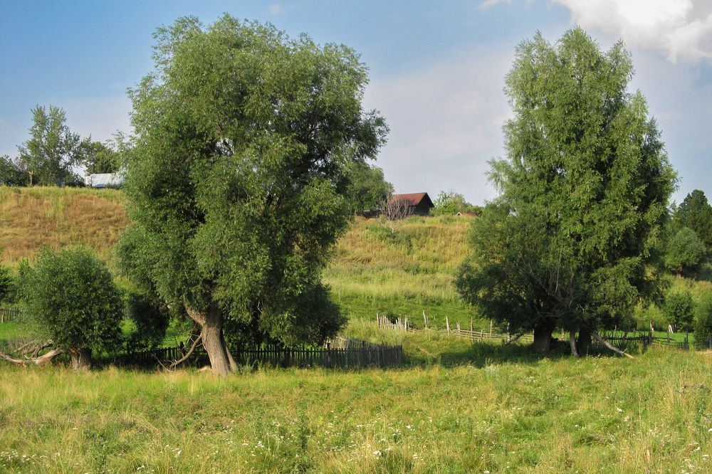 Photograph by Оксана Астрова