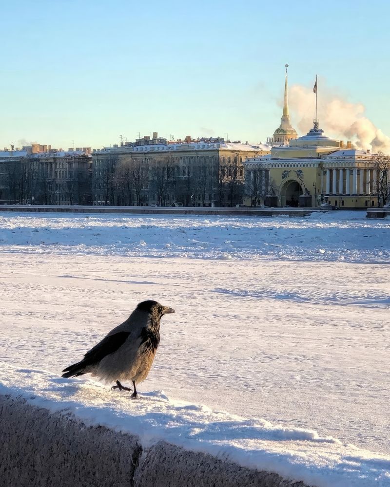 Фотография автора Виталий Бараковский
