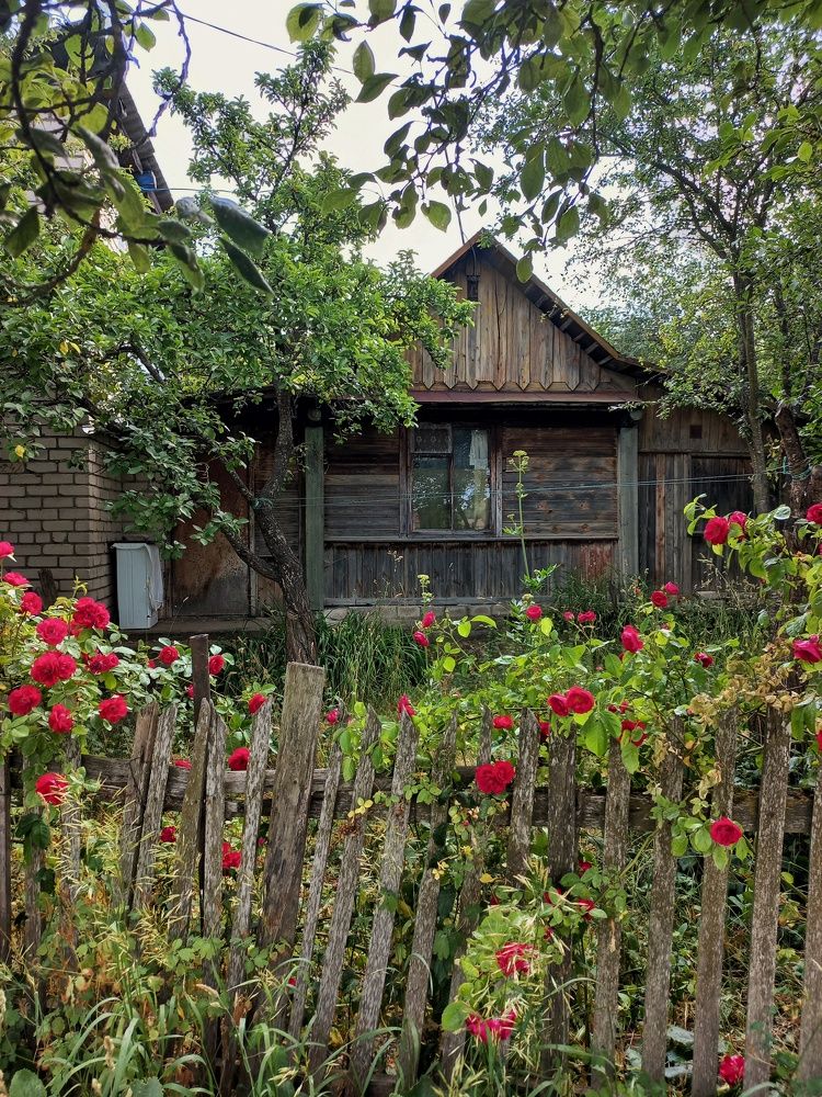 Photograph by Екатерина Петрович