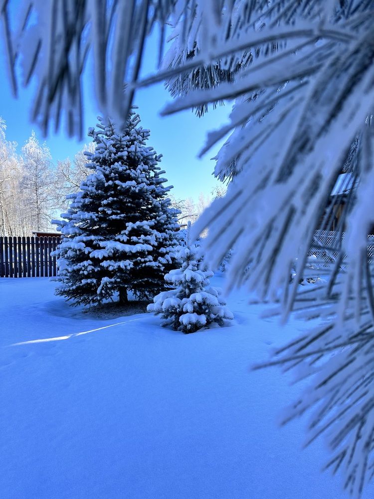 Photograph by Ольга Галкина