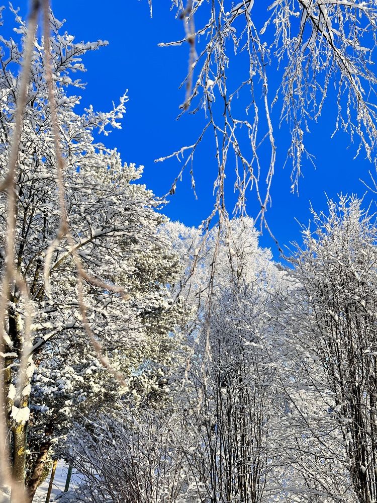 Photograph by Ольга Галкина