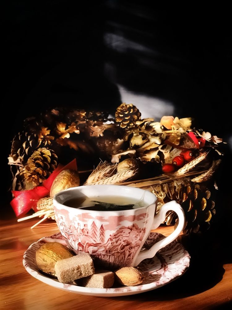 Фотография автора JELENA VASIC