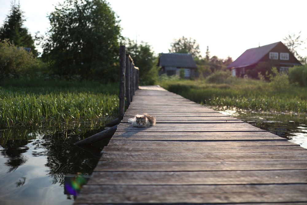 Photograph by Анастасия Оленченко