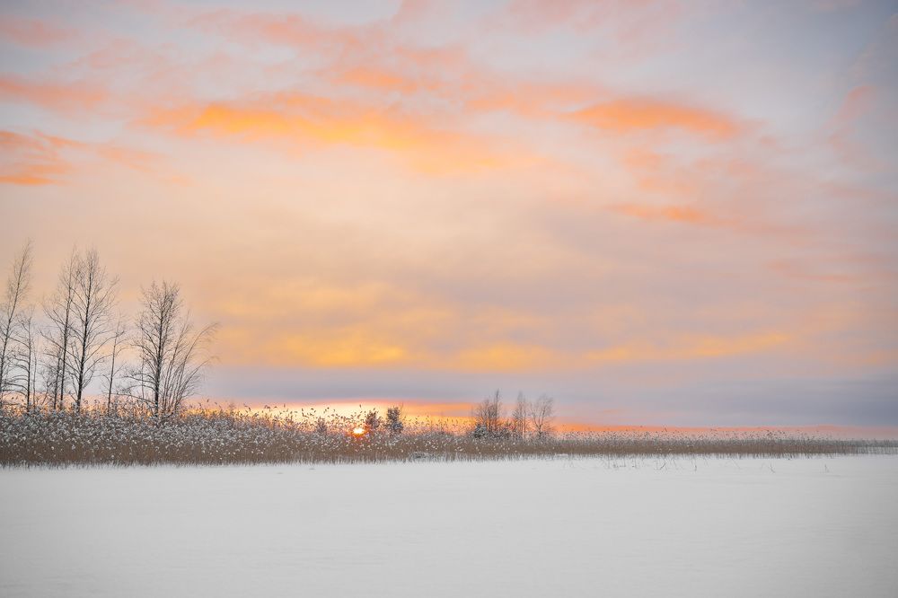 Photograph by Елена Цапко