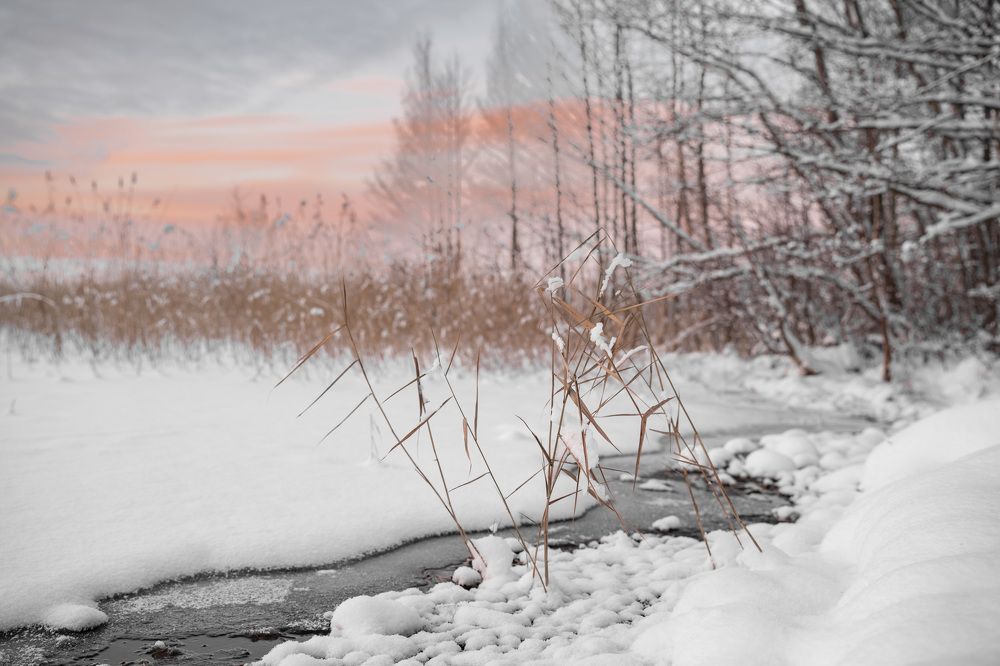 Photograph by Елена Цапко