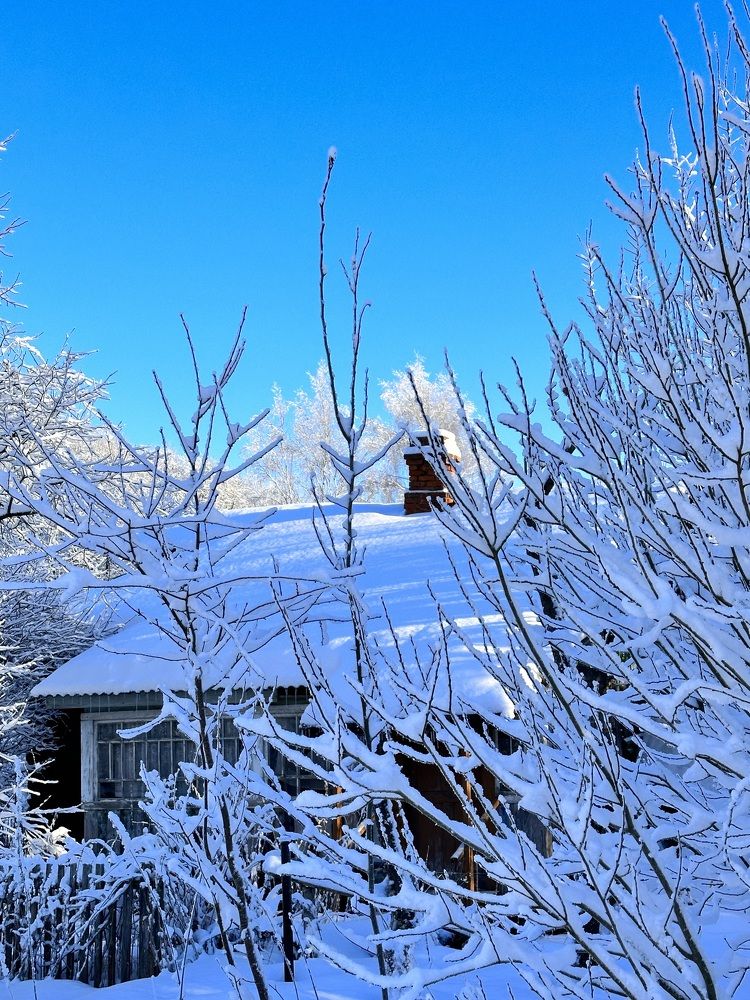 Photograph by Ольга Галкина