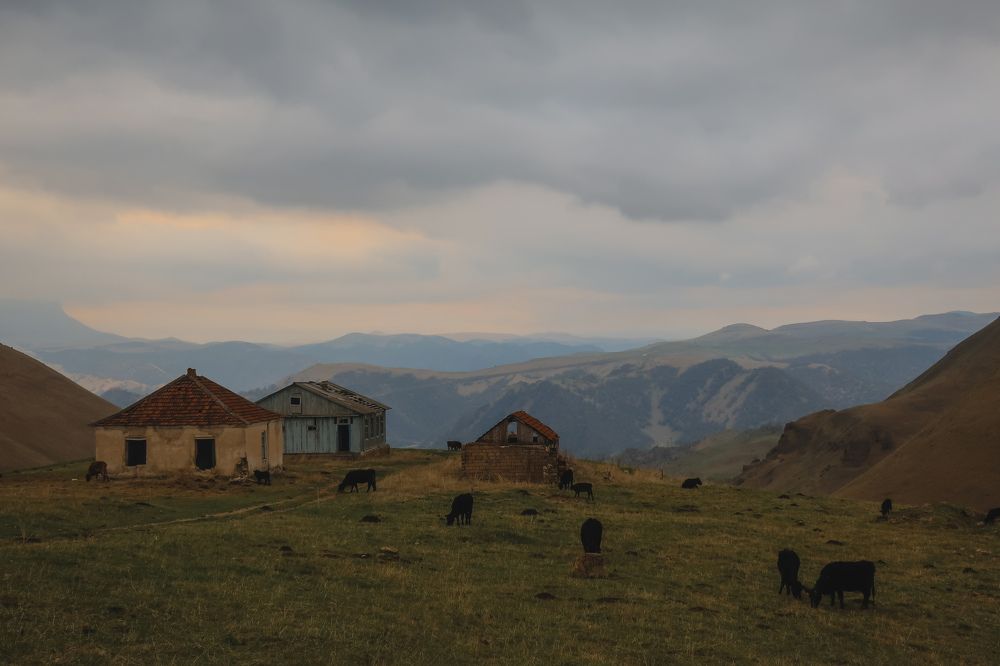 Photograph by Marianna Zakirova