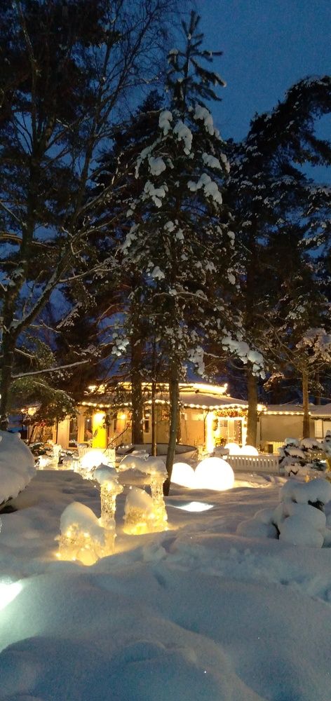 Photograph by Любовь Макарова