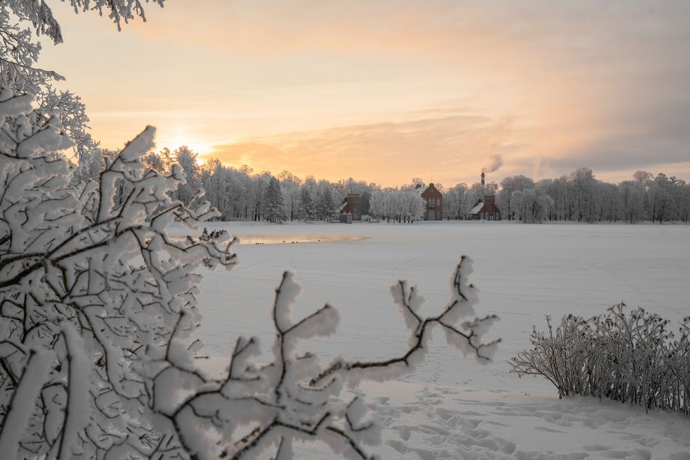 Photograph by Елена Цапко