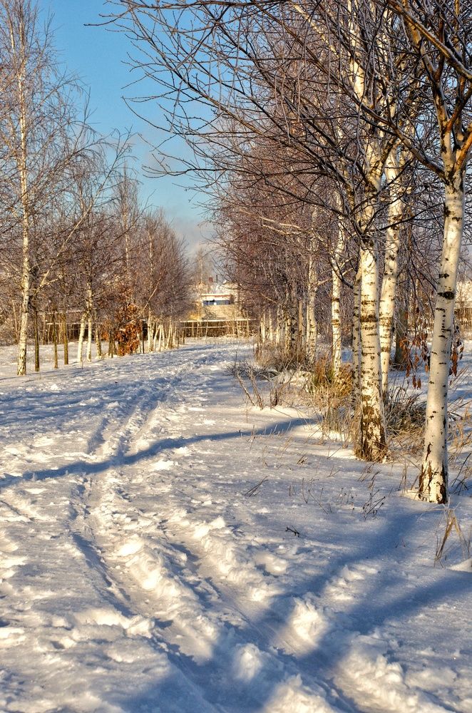 Photograph by Андрей Сосновский