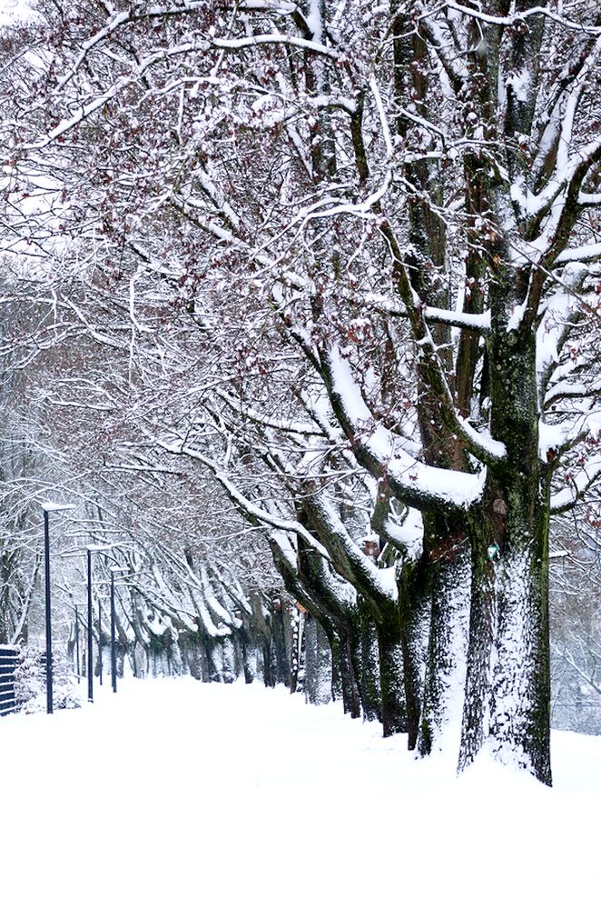 Photograph by Marina Weiland