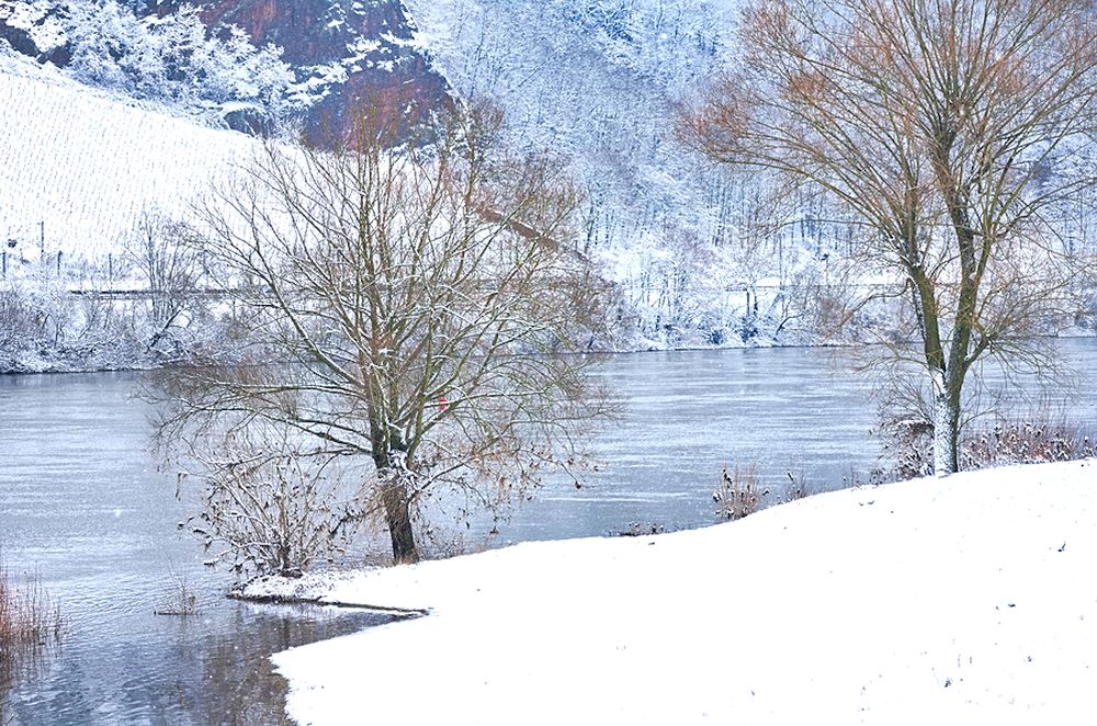 Photograph by Marina Weiland