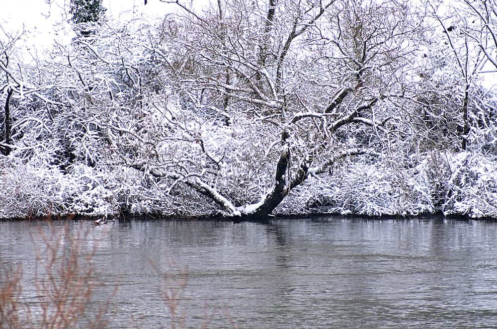 Photograph by Marina Weiland