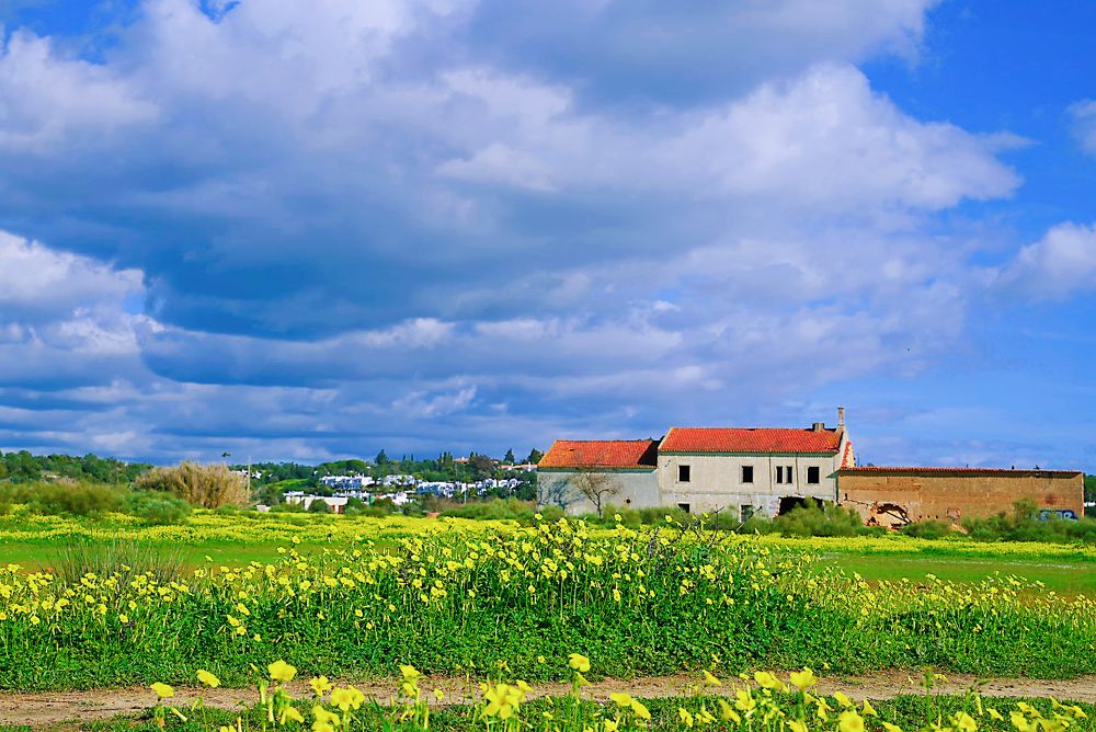 Фотография автора Jian Ma