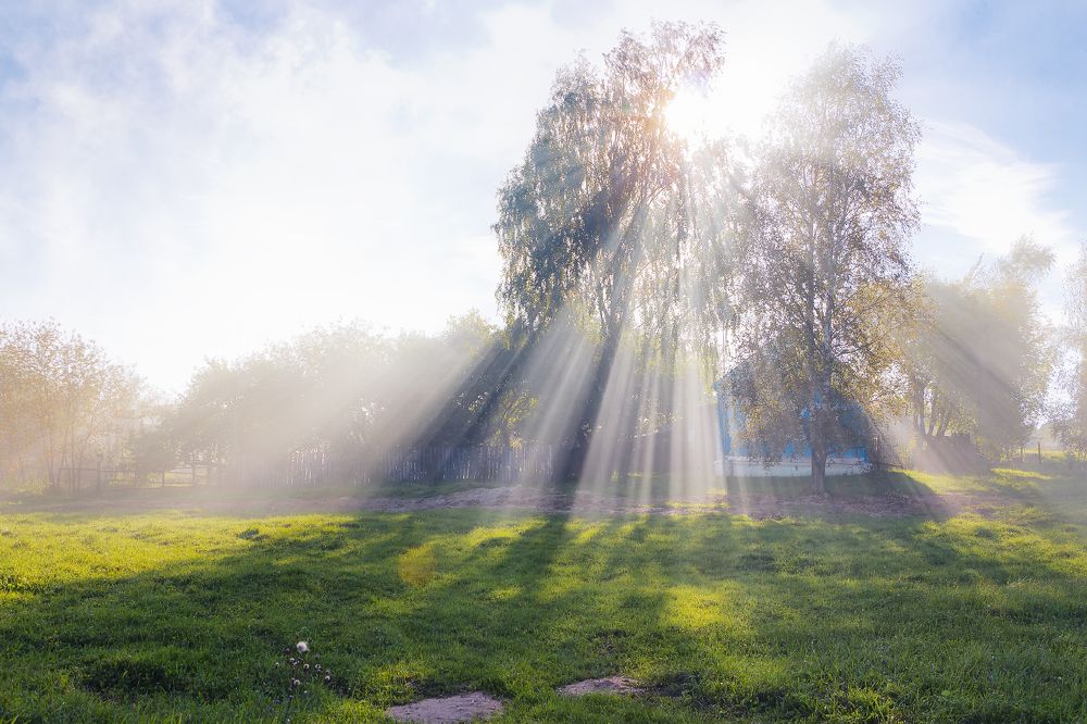 Photograph by PYATNITSKIY ANDREY