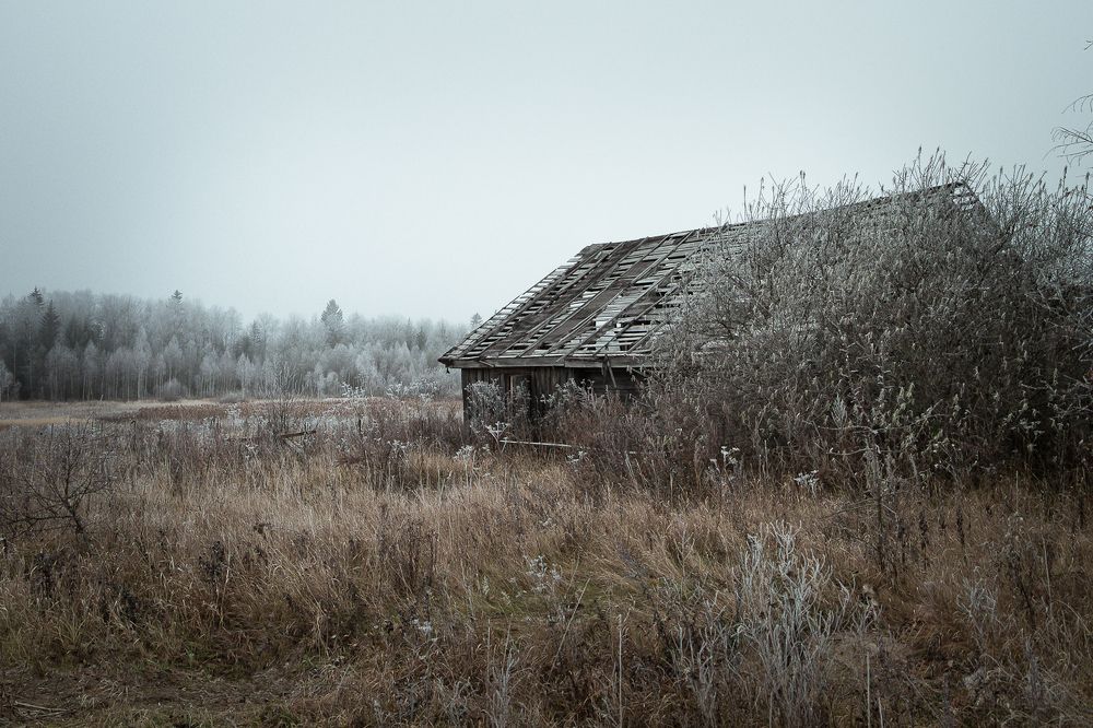 Photograph by PYATNITSKIY ANDREY