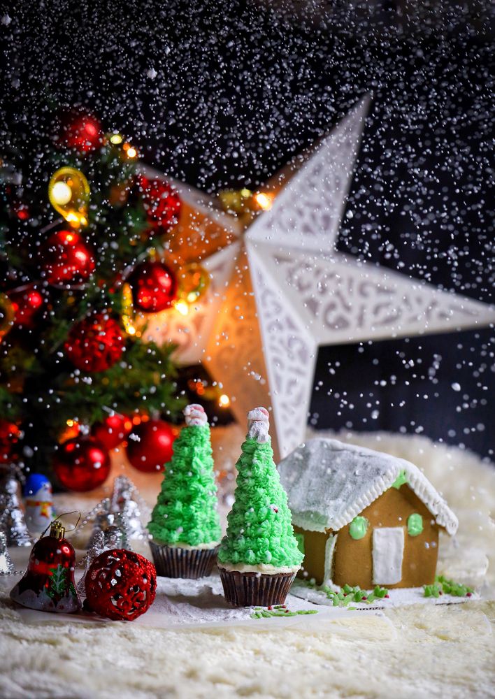 Photograph by NOUSHADALI EDAKKANDATHIL