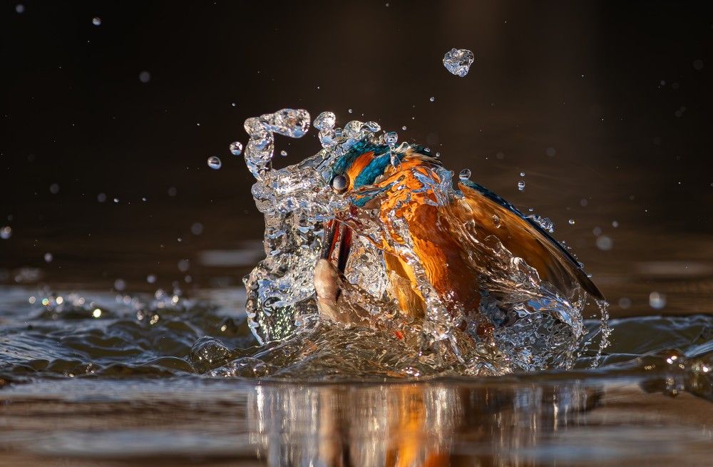 Photograph by Erika Katics