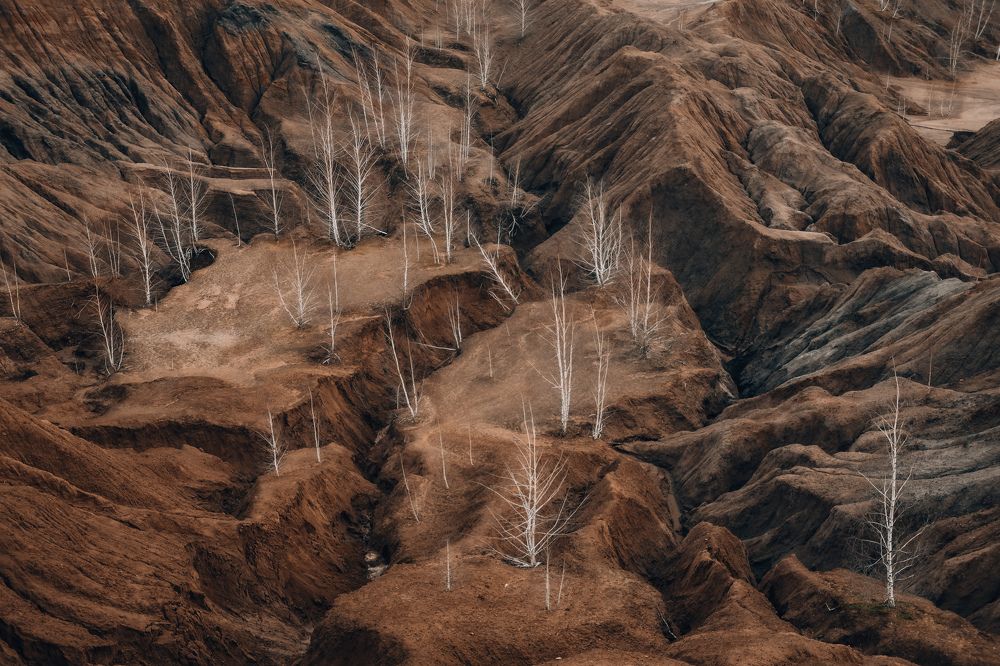 Photograph by Юлия