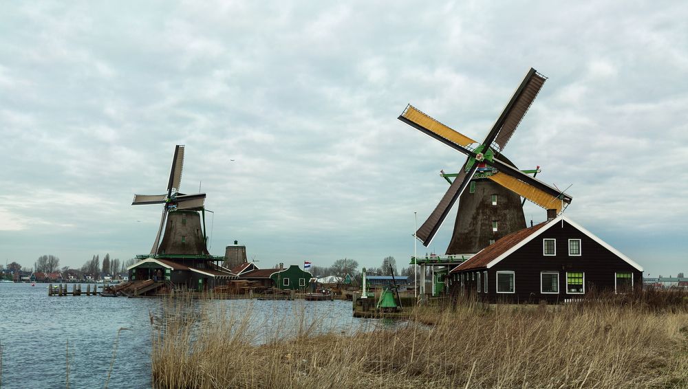 Фотография автора Наталья Дороднова