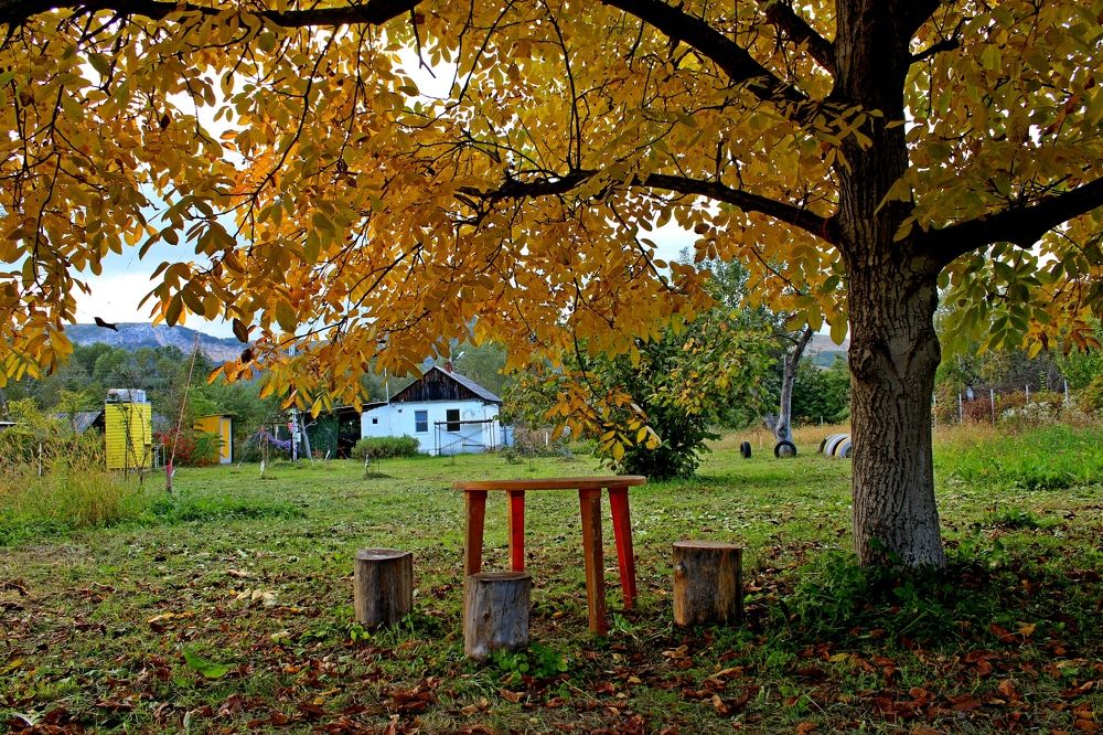 Photograph by Сергей Смоленцев