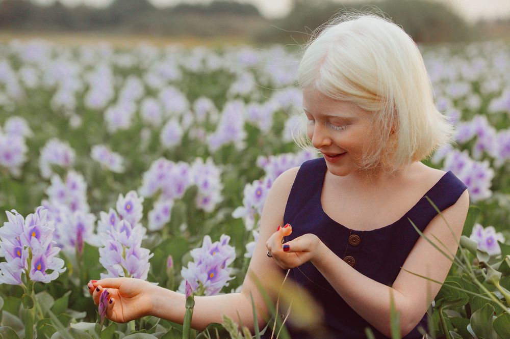 Photograph by goldis gholami