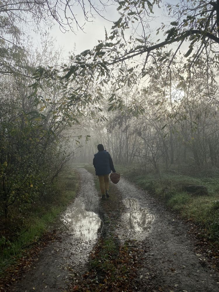 Фотография автора Олег Старосельцев