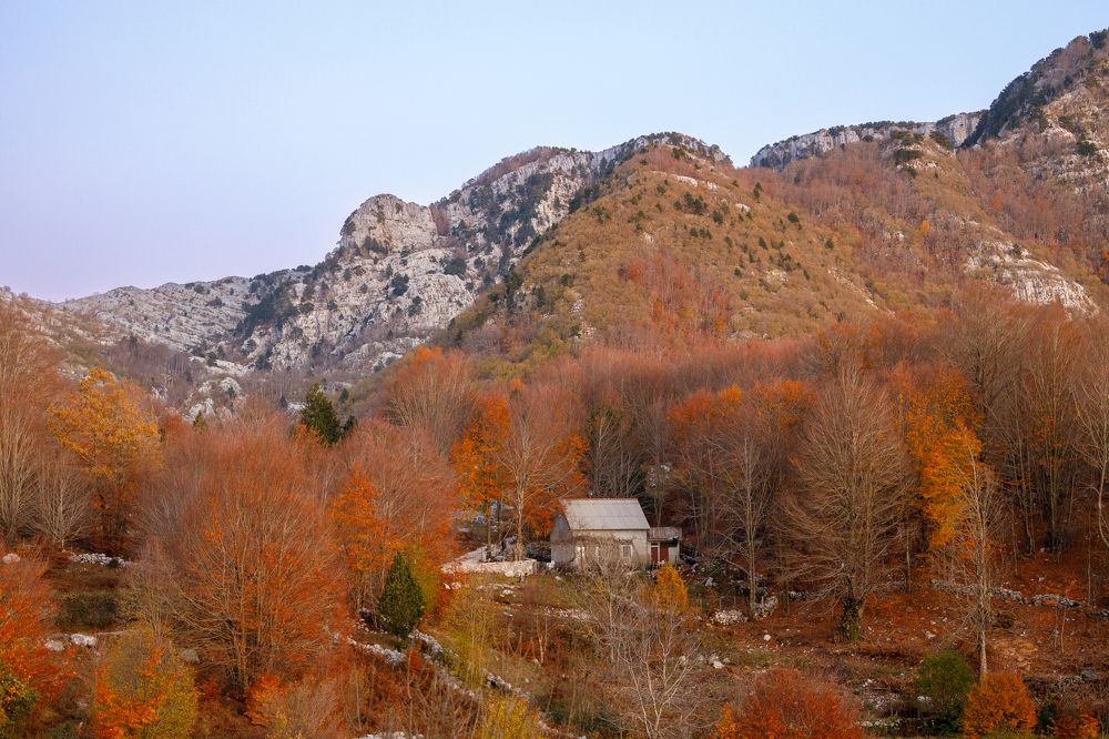 Фотография автора Клавдия Паргачёва