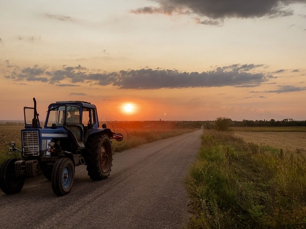 Returning home from the harvest