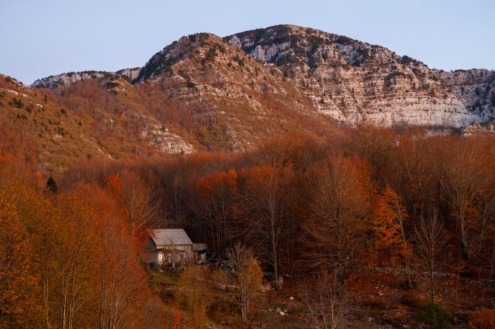 Фотография автора Клавдия Паргачёва