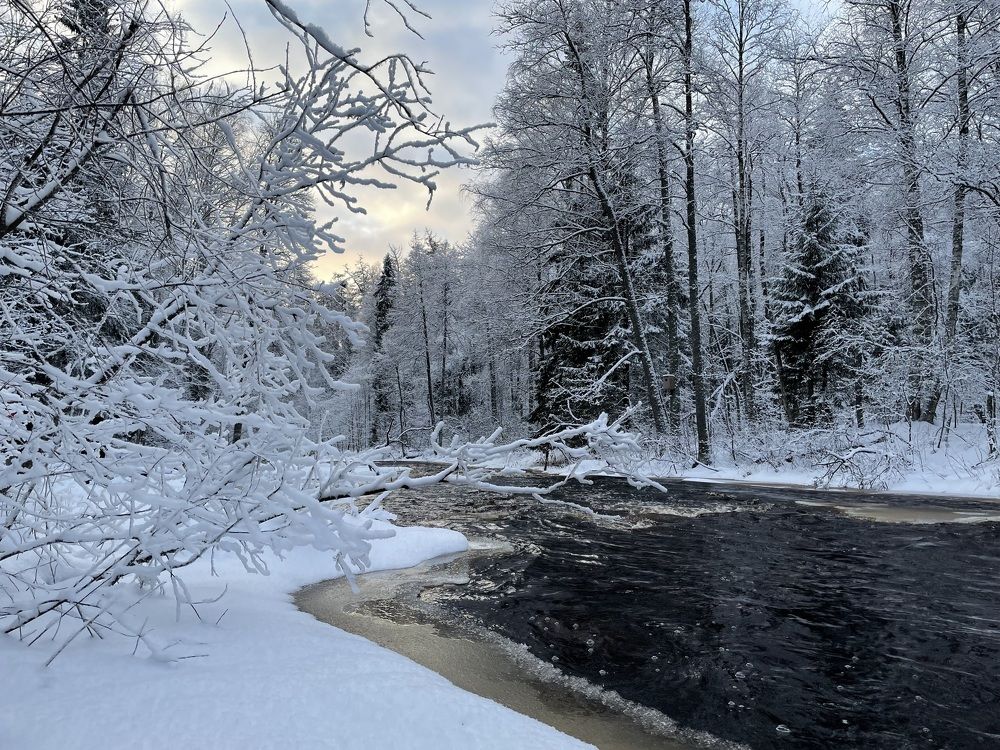 Photograph by Марина Измайлова