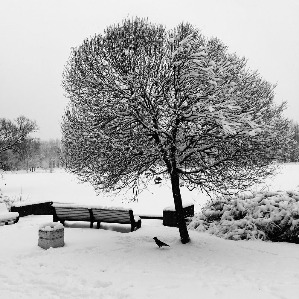 Photograph by Александр Кишиневский