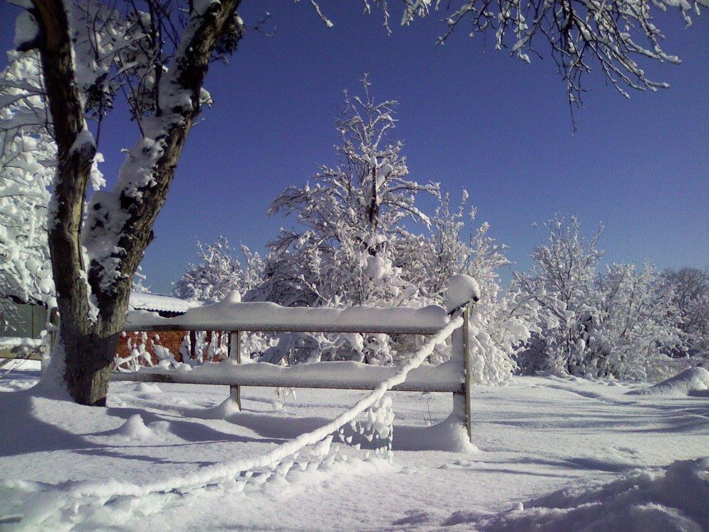 Photograph by Сергей Смоленцев