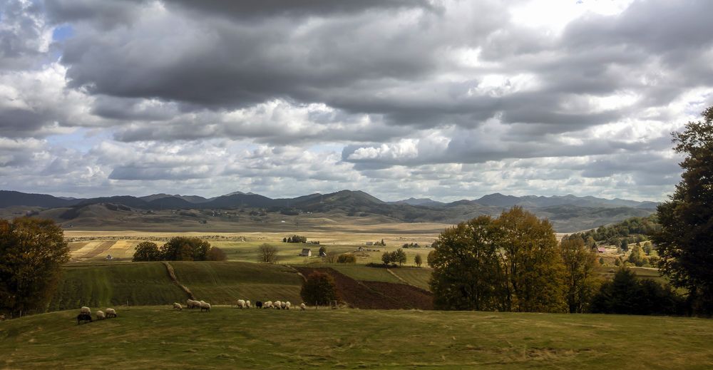 Photograph by Валентина Булкина