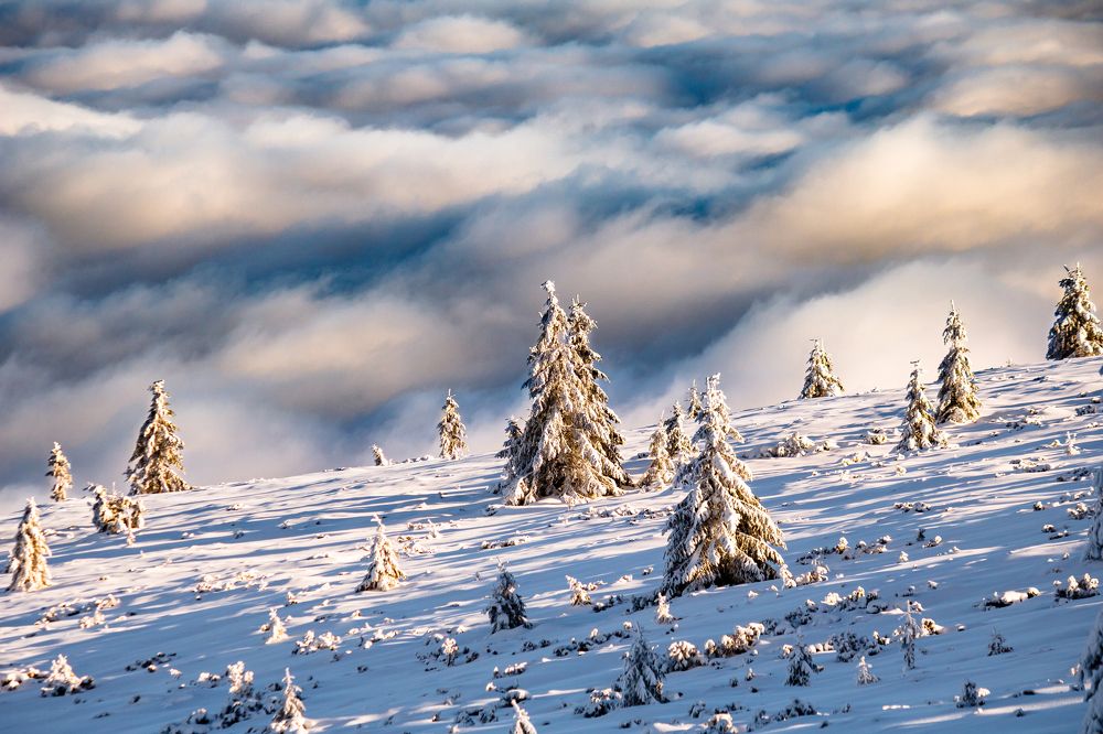 Photograph by Vlad Badau