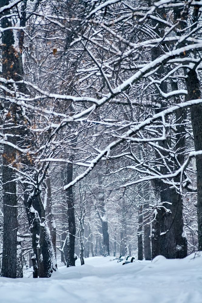 Фотография автора Екатерина Мишкель